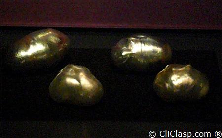 Pinctada Maxima pearls, thanks to Jewelmer 